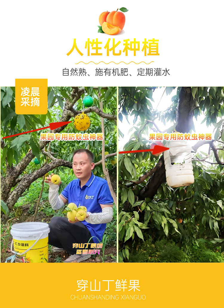 3 健康种植看得见