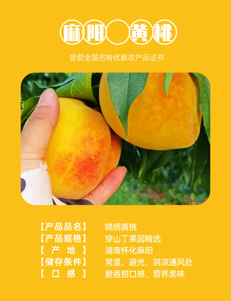 1 水果小档案