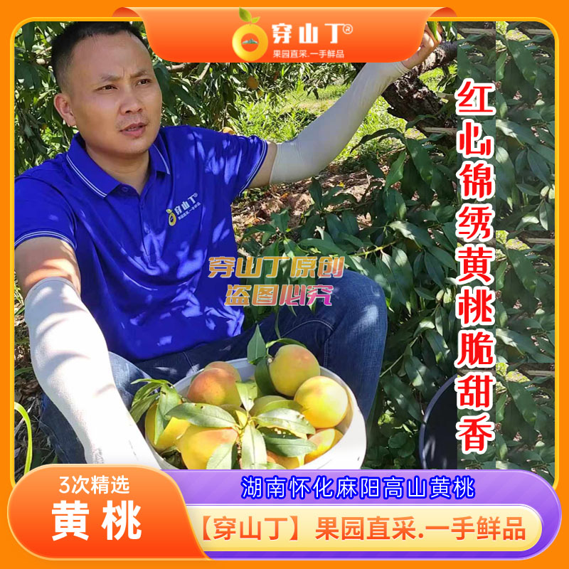 麻阳高山锦绣黄桃