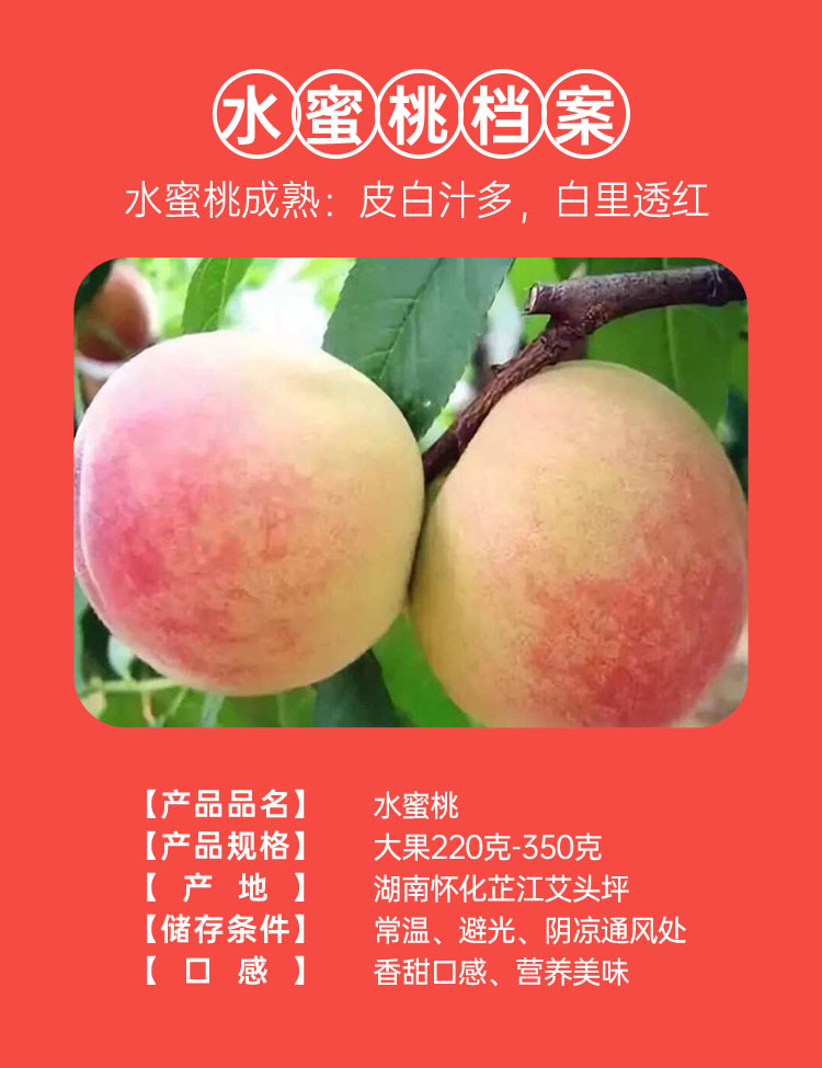 1 水果小档案