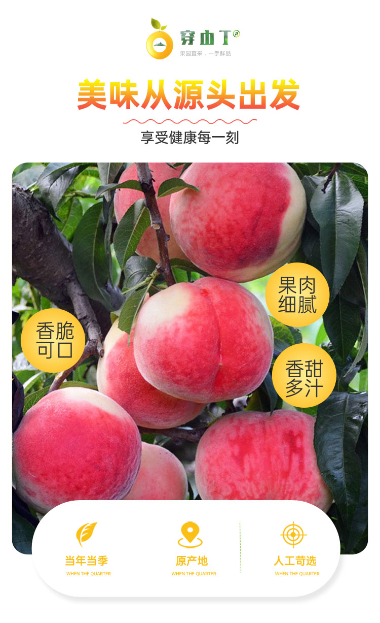 2 美味从源头出发 