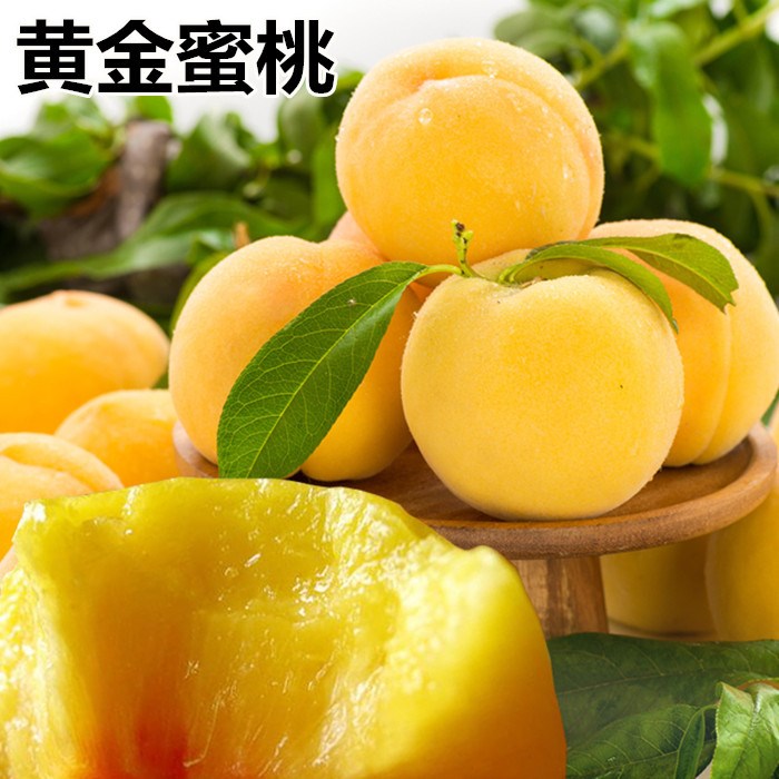 芷江黄金蜜桃4号