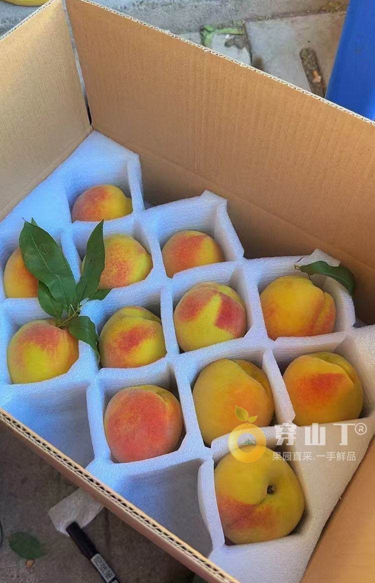怀化哪里的黄桃最好吃?