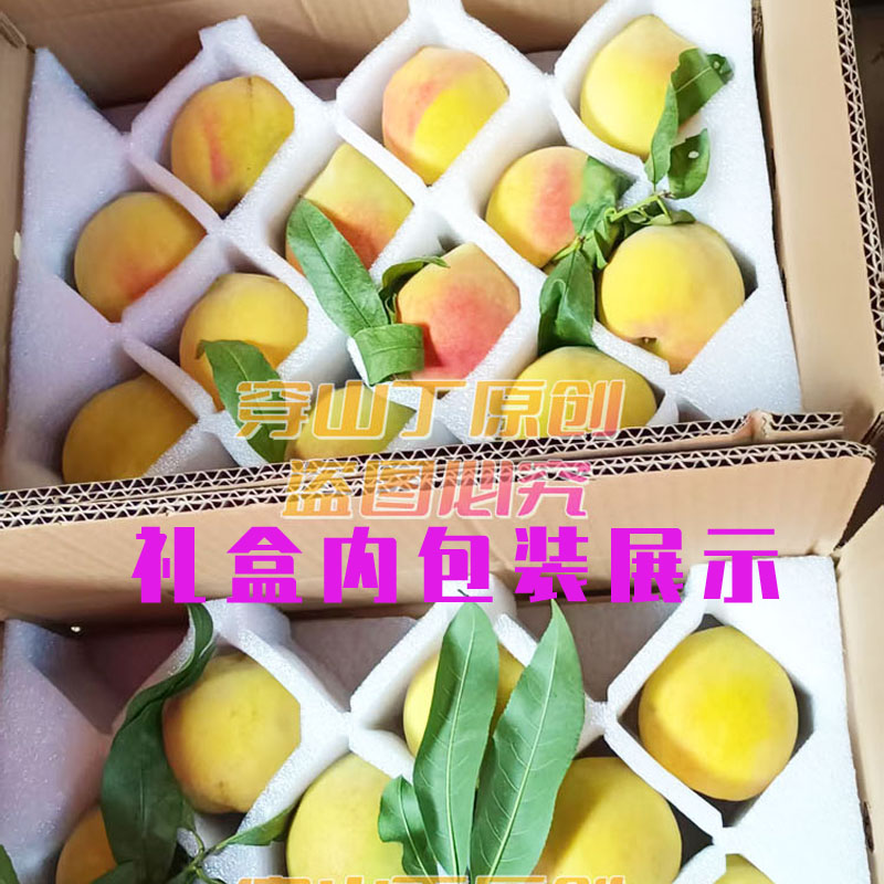 封面打包3 (2)