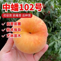 中蟠102号蟠桃