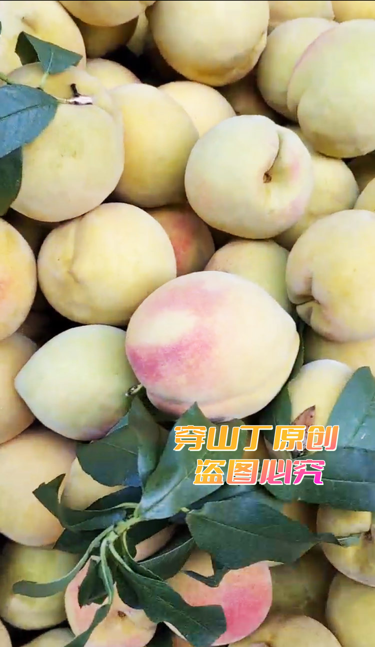 高山锦绣黄桃