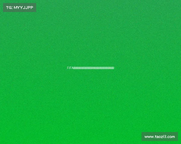 FIFA世界杯阿根廷迪马利亚闪耀时刻与冠军征程传奇回顾全景解析